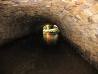 The central tunnel